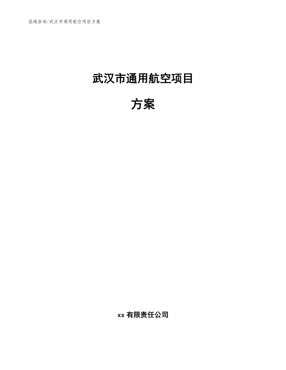 武汉市通用航空项目方案【范文模板】_第1页