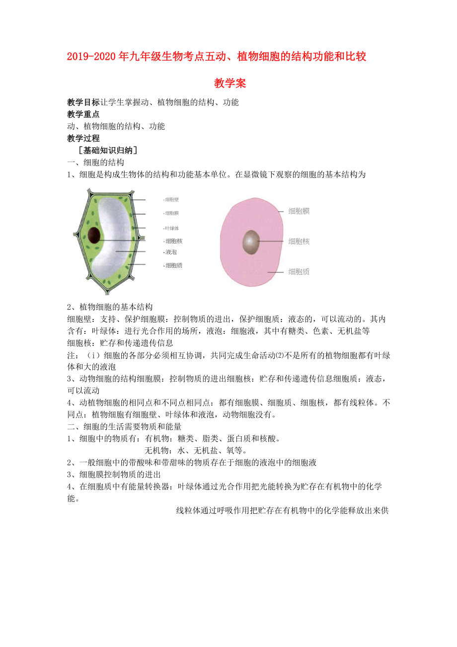 2019-2020年九年級生物 考點五 動、植物細胞的結(jié)構(gòu) 功能和比較 教學案_第1頁