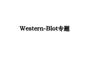 Western-Blot专题