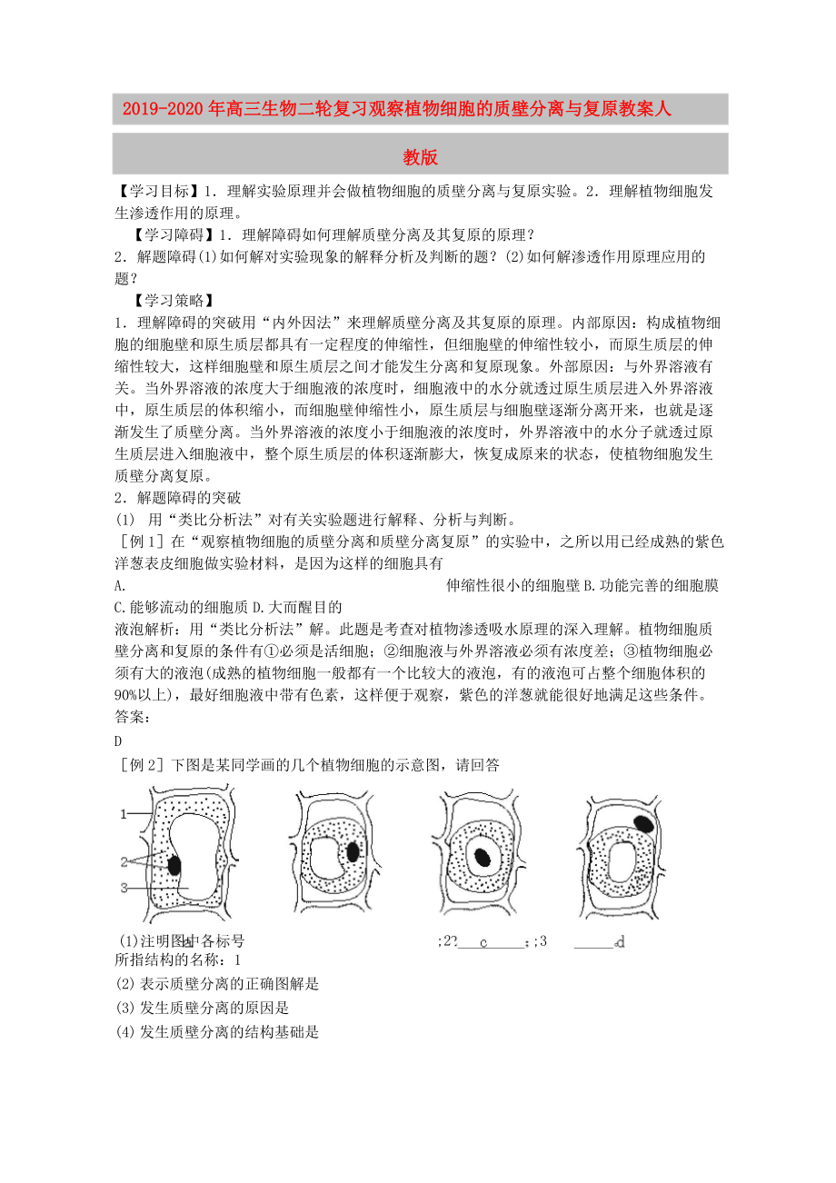 2019-2020年高三生物二輪復(fù)習(xí) 觀察植物細胞的質(zhì)壁分離與復(fù)原教案 人教版_第1頁