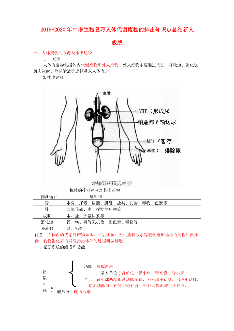 2019-2020年中考生物復(fù)習(xí) 人體代謝廢物的排出知識點總結(jié) 新人教版_第1頁