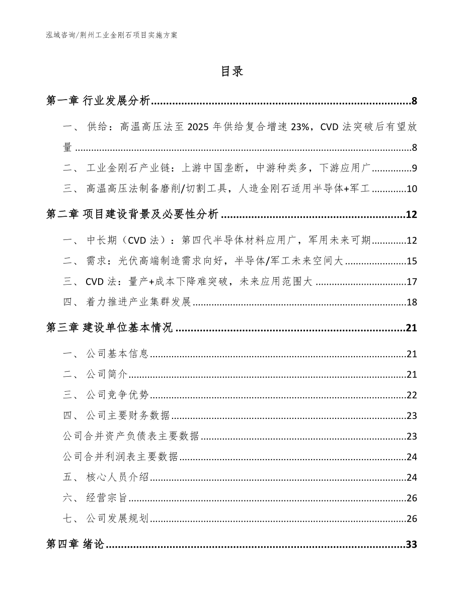 荆州工业金刚石项目实施方案（范文模板）_第1页