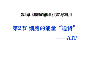 細(xì)胞的能量通貨-ATP.ppt