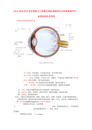 2019-2020年中考生物復(fù)習(xí) 人體通過(guò)神經(jīng)系統(tǒng)和內(nèi)分泌系統(tǒng)調(diào)節(jié)生命活動(dòng)知識(shí)點(diǎn)總結(jié)