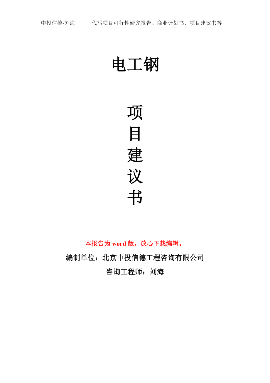 電工鋼項目建議書寫作模板_第1頁