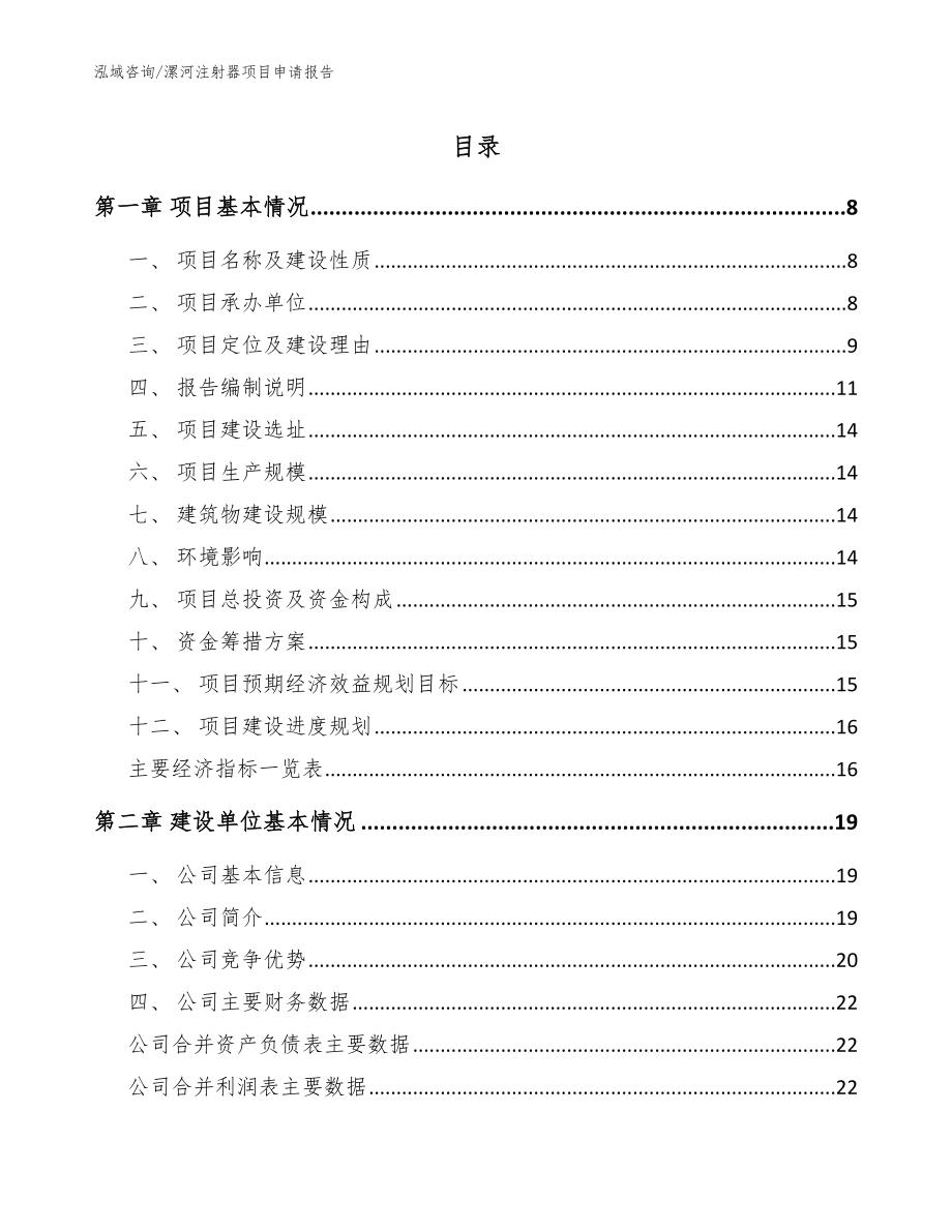 漯河注射器项目申请报告_第1页