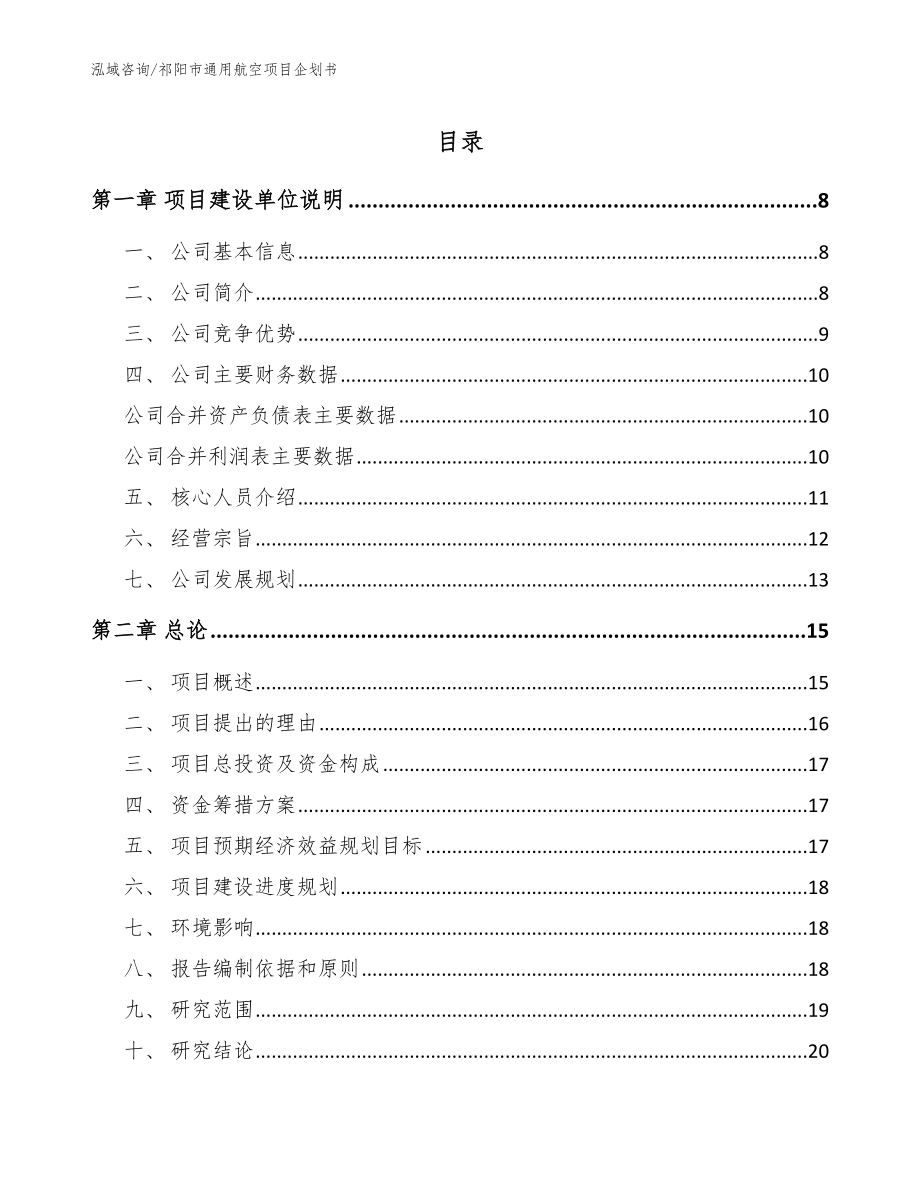 祁阳市通用航空项目企划书_模板范本_第1页