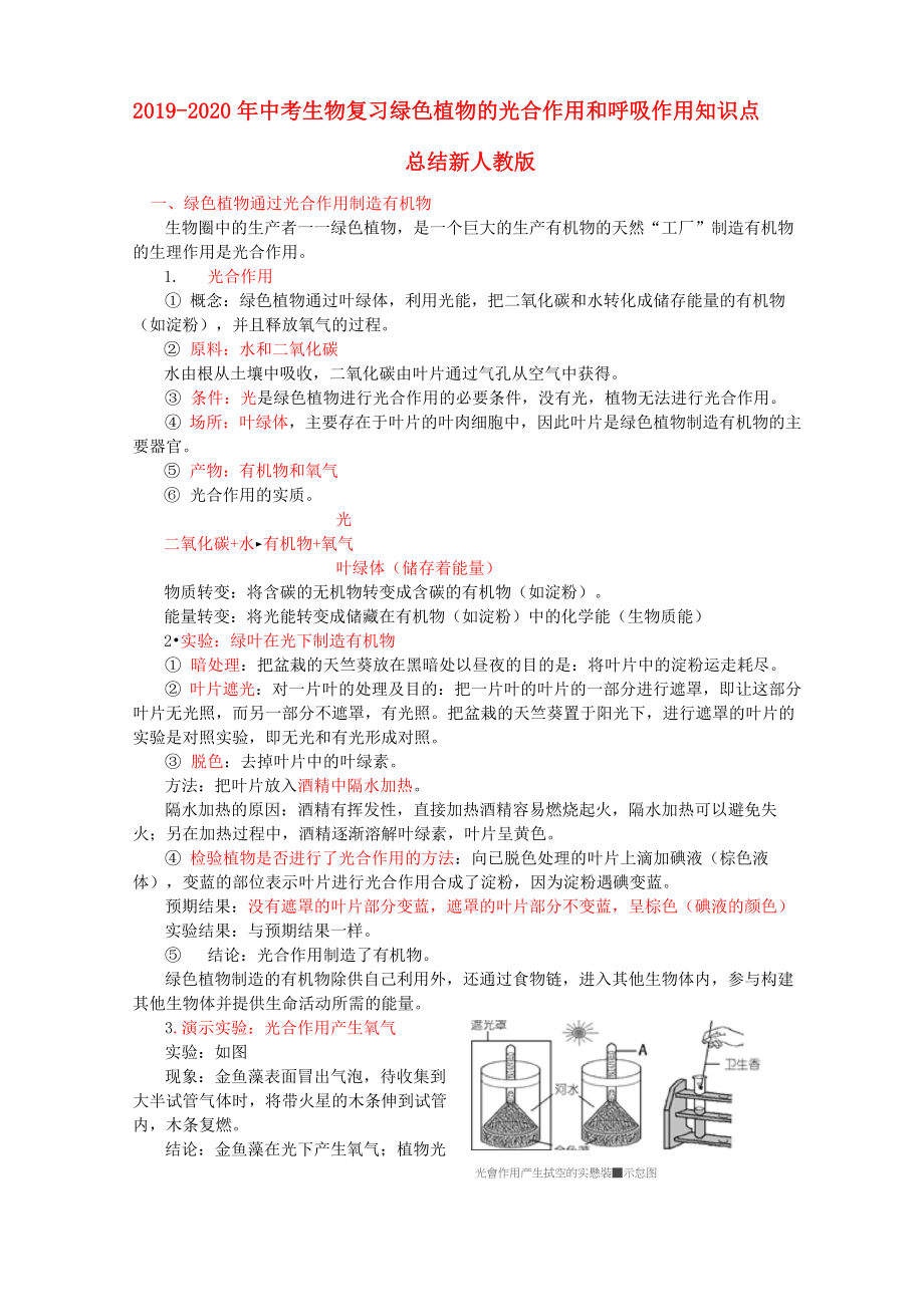 2019-2020年中考生物復(fù)習(xí) 綠色植物的光合作用和呼吸作用知識點總結(jié) 新人教版_第1頁