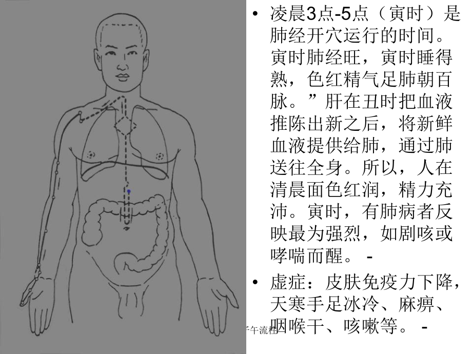 经络养生与子午流柱课件_第1页