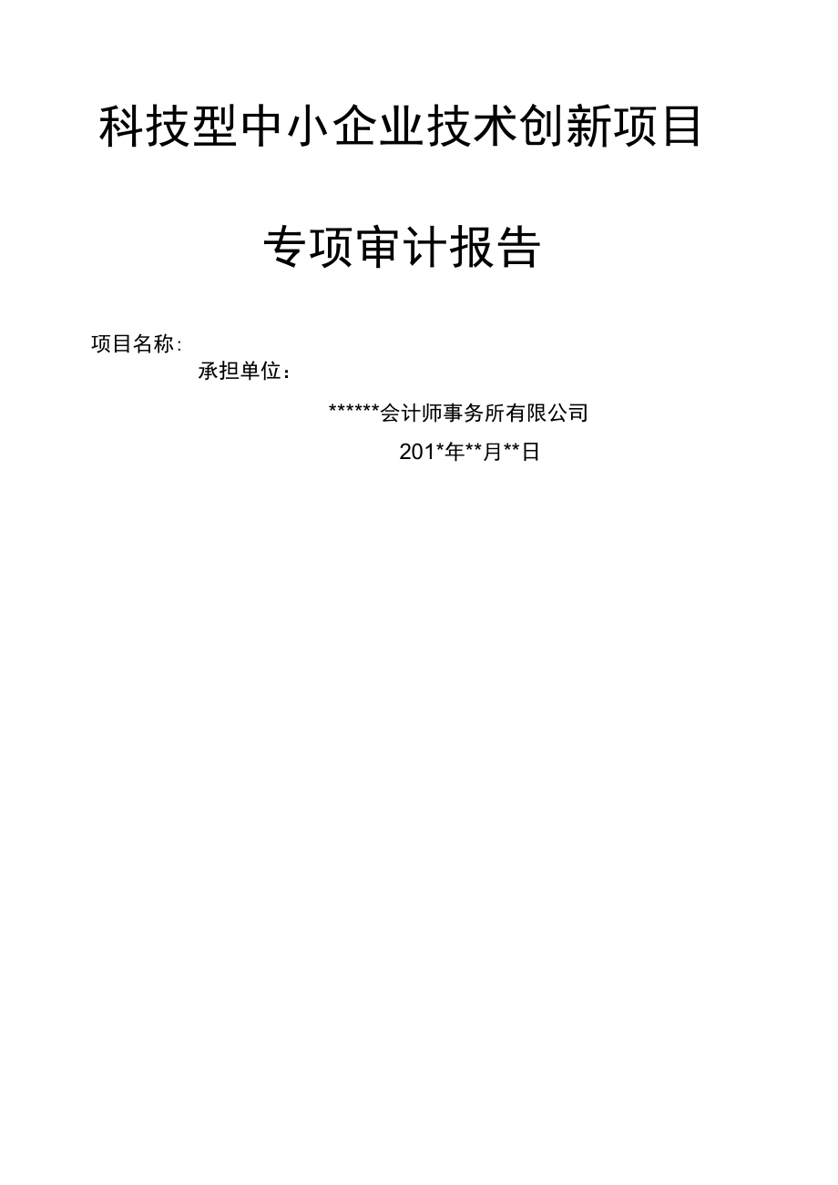 科技型中小技术创新项目审计报告模板_第1页