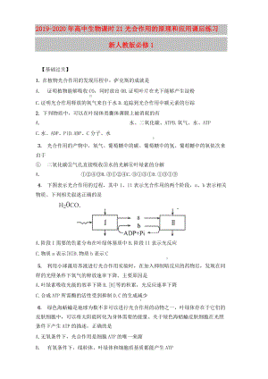 2019-2020年高中生物 課時21 光合作用的原理和應(yīng)用課后練習(xí) 新人教版必修1