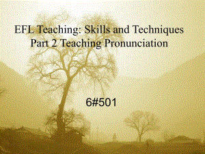 外语教学法_语音的教学Teaching__pronunciation