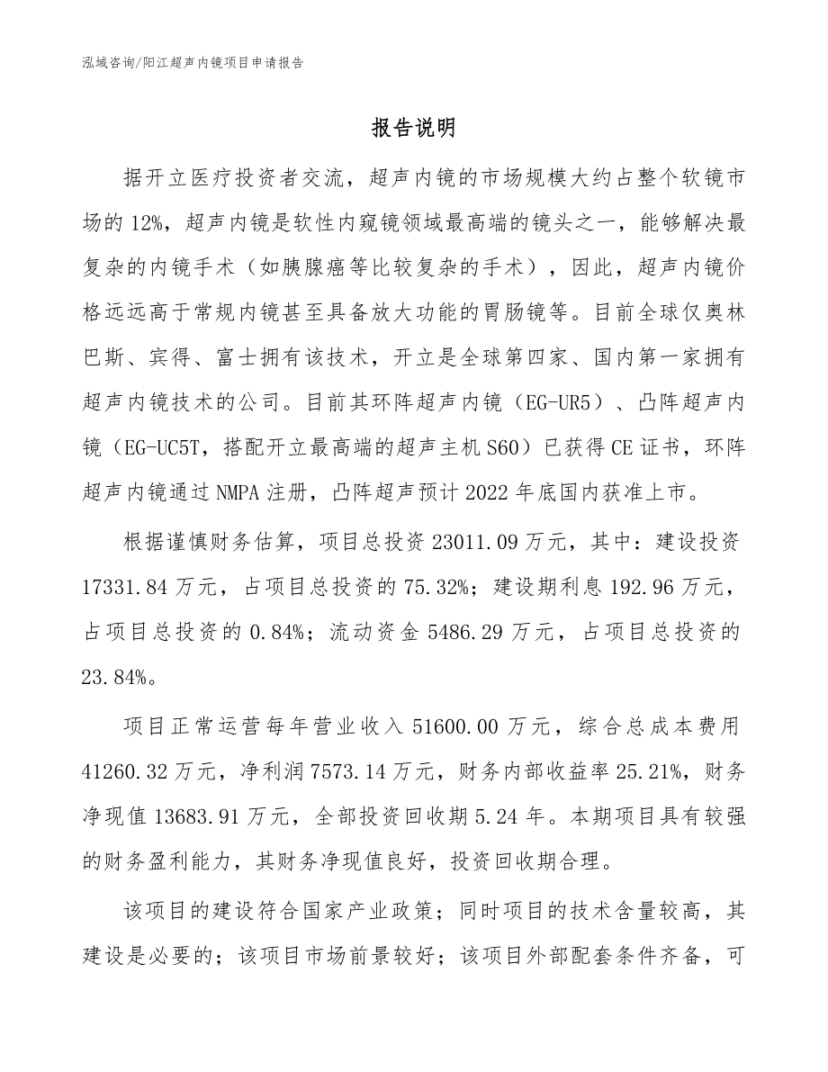 阳江超声内镜项目申请报告（参考范文）_第1页