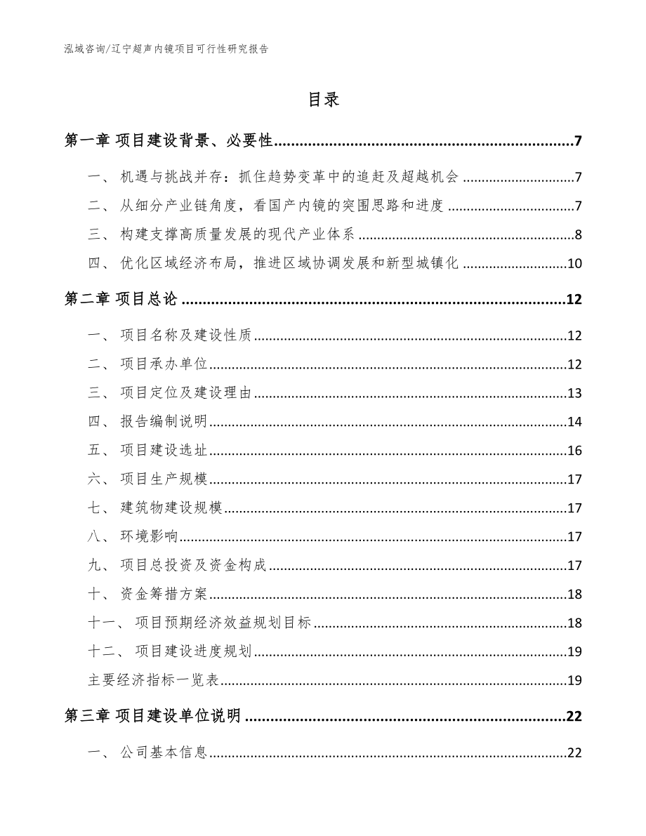 辽宁超声内镜项目可行性研究报告_第1页