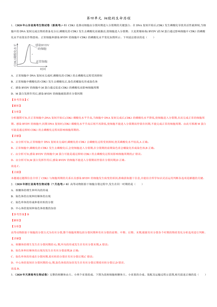 第四單元 細(xì)胞的生命歷程【真題訓(xùn)練】-2021年高考一輪生物單元復(fù)習(xí)一遍過（解析版）_第1頁