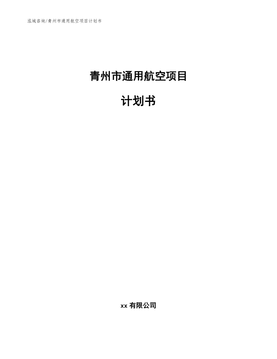 青州市通用航空项目计划书_第1页