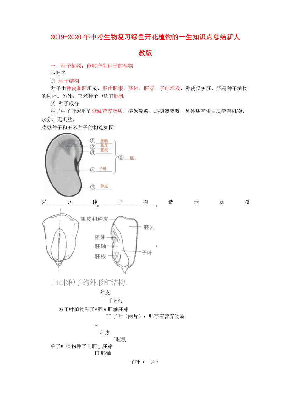 2019-2020年中考生物復習 綠色開花植物的一生知識點總結 新人教版_第1頁