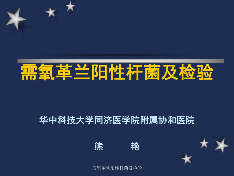 需氧革兰阳性杆菌及检验课件_第1页