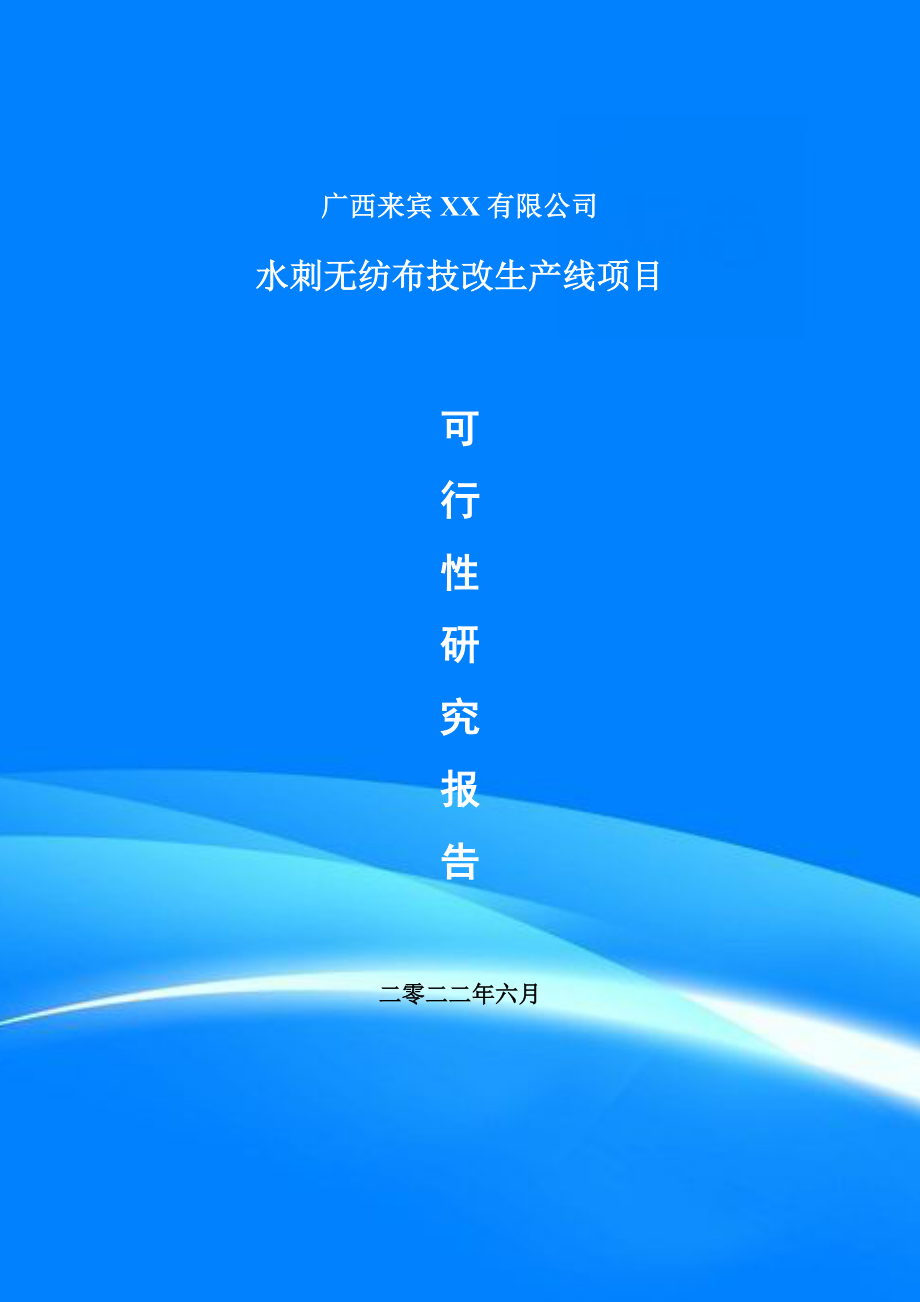 水刺无纺布技改生产线项目申请报告可行性研究报告_第1页