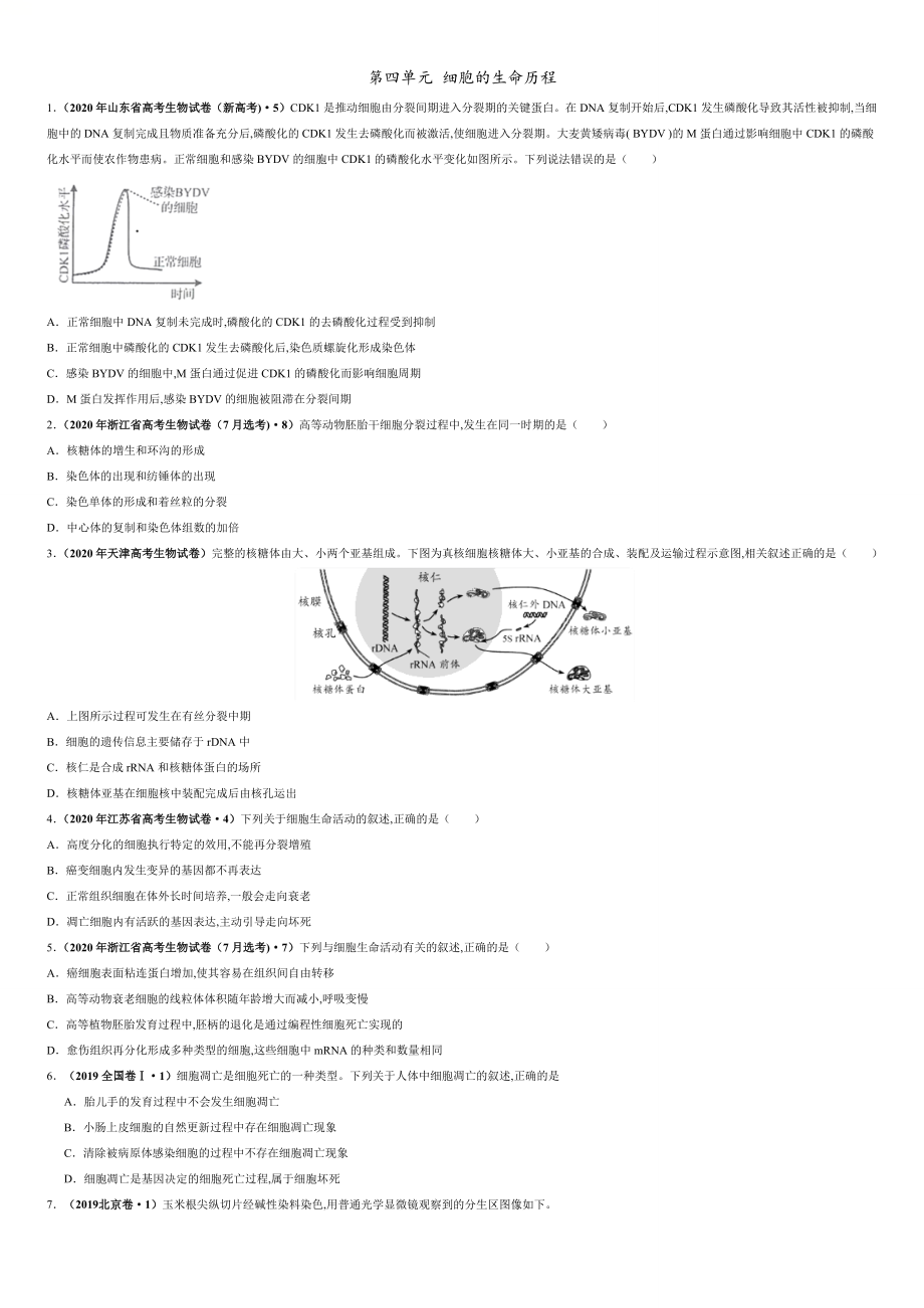 第四單元 細胞的生命歷程【真題訓練】-2021年高考一輪生物單元復習一遍過（原卷版）附答案_第1頁