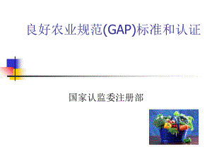 GAP标准和认证知识课件