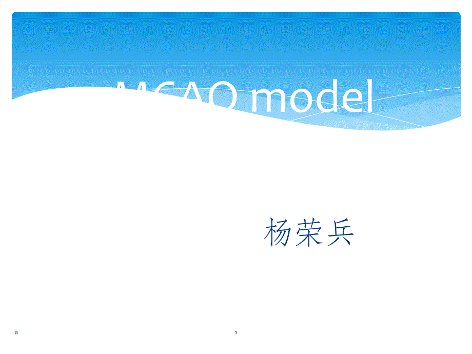 MCAO模型课件_第1页