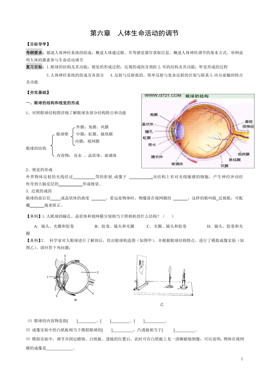 八下生物《第六章__人體生命活動(dòng)的調(diào)節(jié)》教案李建華_第1頁(yè)