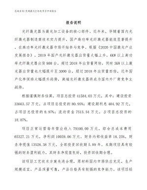 芜湖激光打标机项目申请报告