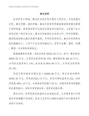 南京激光打标机项目可行性研究报告_模板