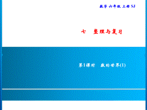 六年級上冊數(shù)學(xué)習(xí)題課件-7 第1課時　數(shù)的世界(1)｜蘇教版(共9張PPT)