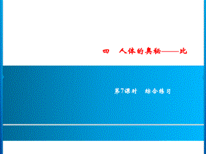 六年級上冊數(shù)學(xué)習(xí)題課件-4第7課時(shí)%E3%80%80綜合練習(xí)｜青島版(共10張PPT)