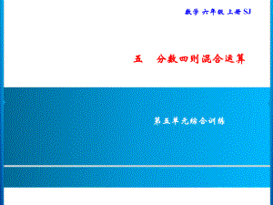 六年級上冊數(shù)學(xué)習(xí)題課件-5 第五單元綜合訓(xùn)練｜蘇教版(共13張PPT)