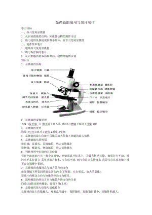 显微镜的使用与装片制作(打印)