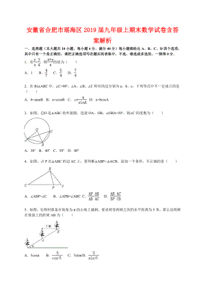 安徽省合肥2019年九年級(jí)上期末數(shù)學(xué)試卷含答案解析