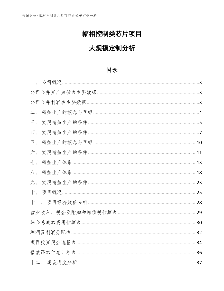 幅相控制类芯片项目运营管理方案（参考）_第1页