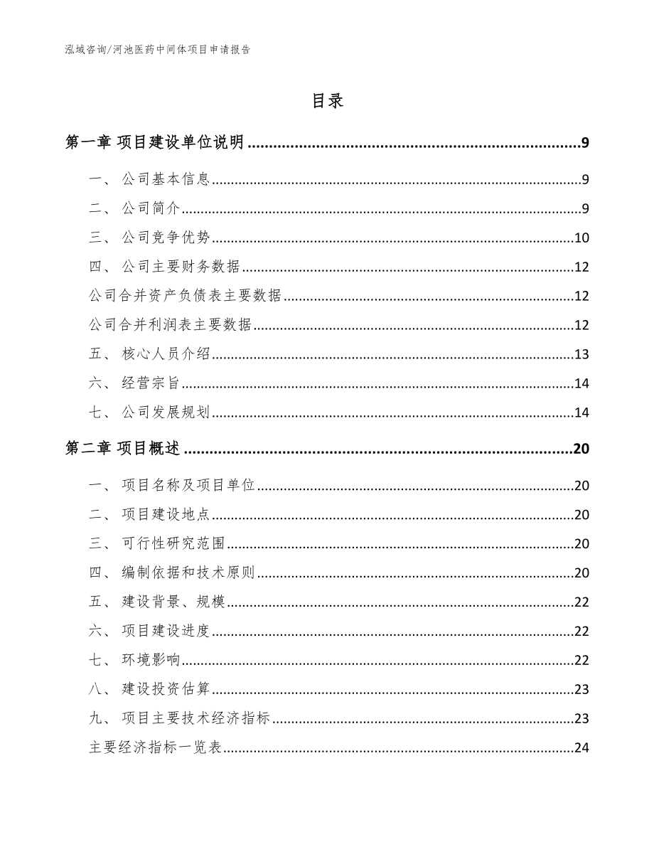 河池医药中间体项目申请报告模板_第1页