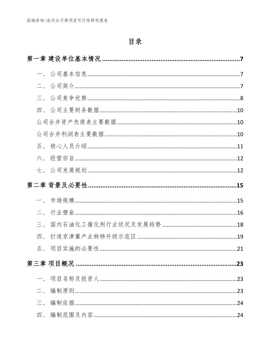 沧州分子筛项目可行性研究报告_第1页