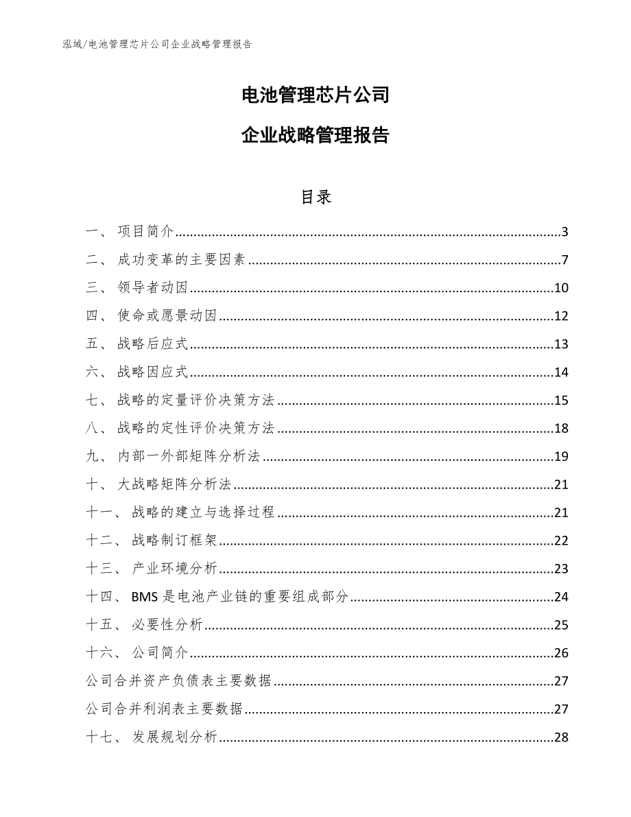 电池管理芯片公司企业战略管理报告【参考】_第1页