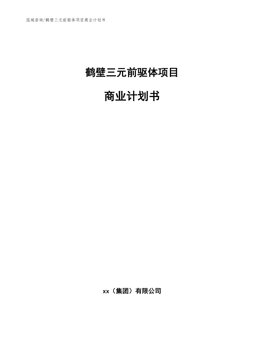 鹤壁三元前驱体项目商业计划书【模板】_第1页