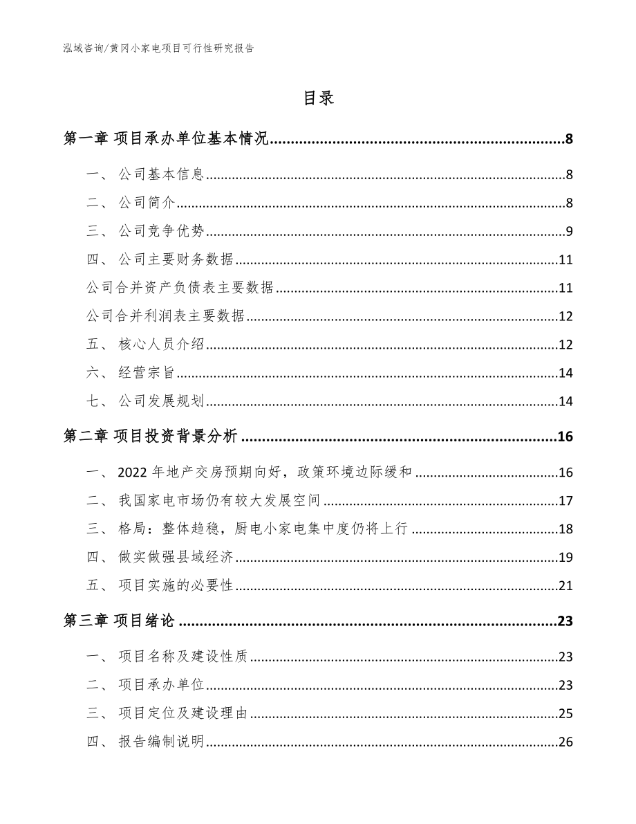 黄冈小家电项目可行性研究报告_模板范本_第1页