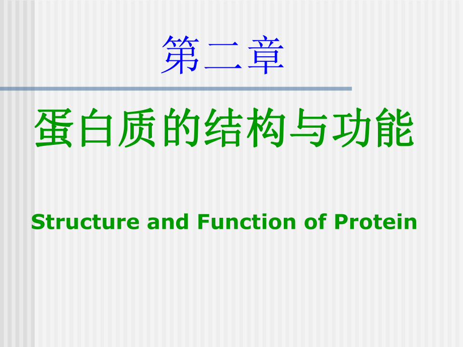 分子生物學(xué)蛋白質(zhì)ppt課件_第1頁