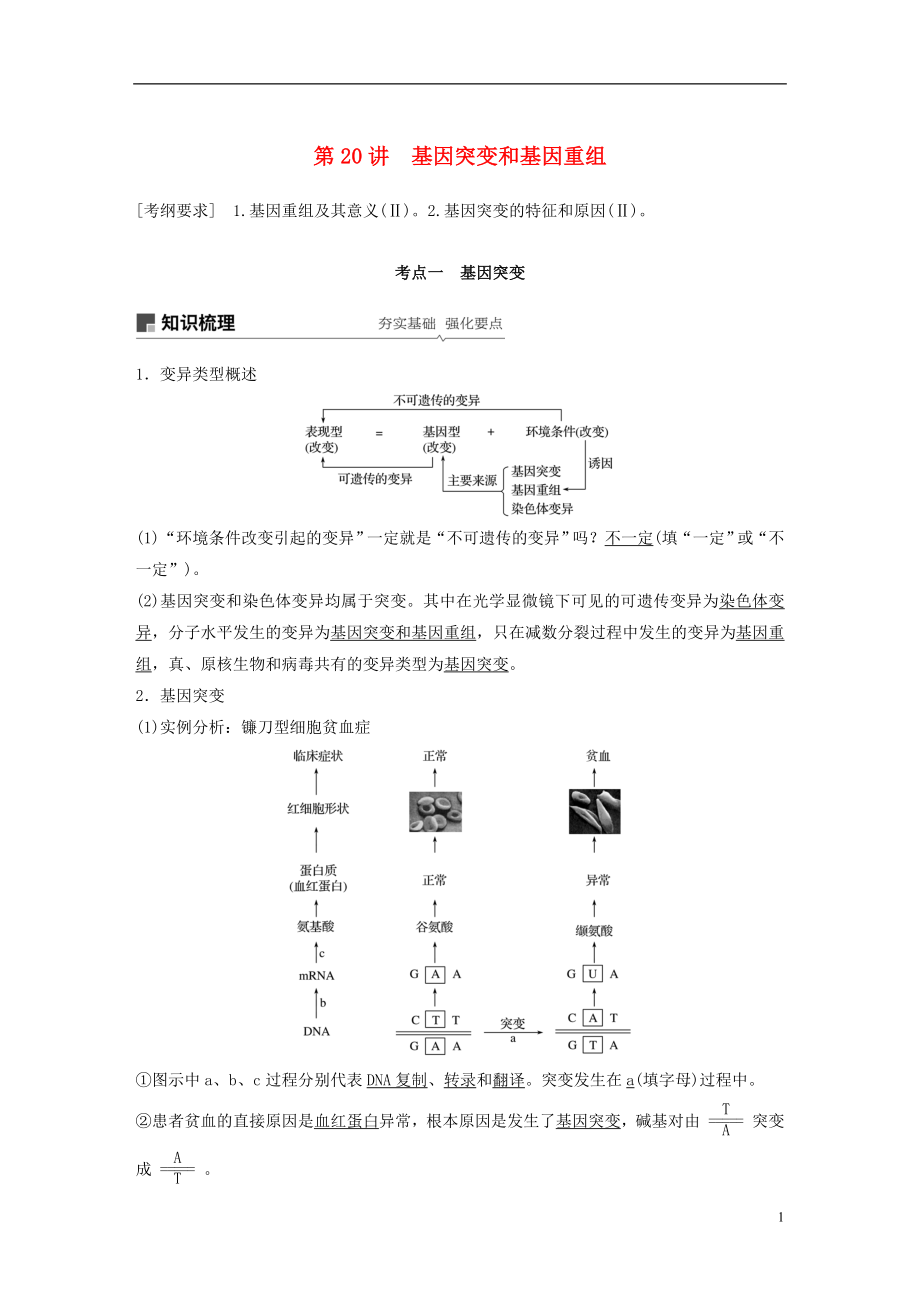 2018-2019學(xué)年高考生物大一輪復(fù)習(xí) 第七單元 生物的變異、育種和進化 第20講 基因突變和基因重組學(xué)案_第1頁