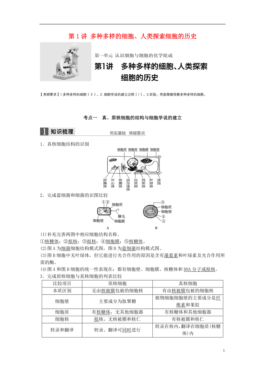 新2017高考生物一輪復(fù)習(xí) 第一單元 認(rèn)識細(xì)胞與細(xì)胞的化學(xué)組成 第1講 多種多樣的細(xì)胞、人類探索細(xì)胞的歷史學(xué)案（含解析）北師大版_第1頁