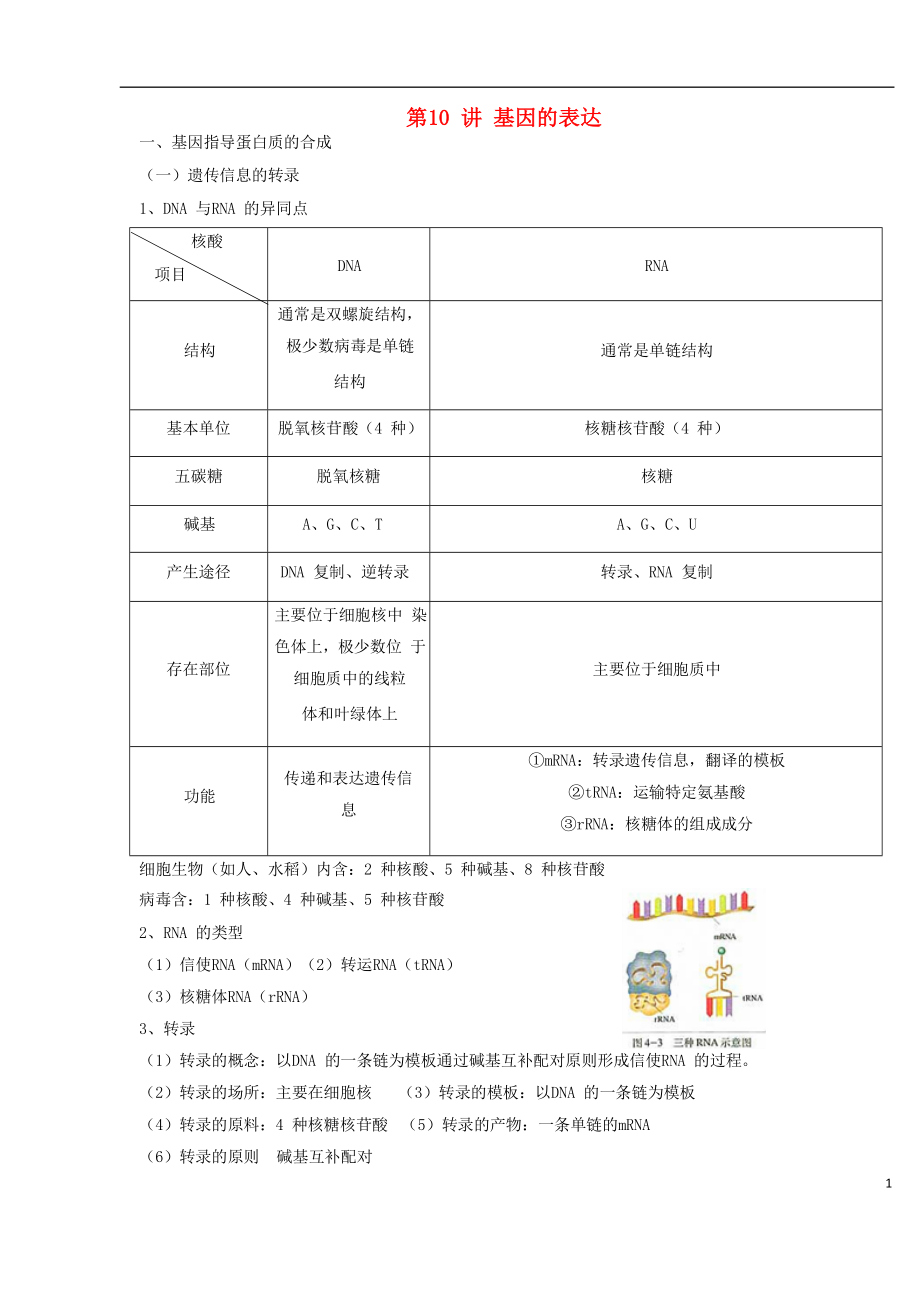 2018高中生物學(xué)業(yè)水平測試復(fù)習(xí) 第10講 基因的表達學(xué)案_第1頁