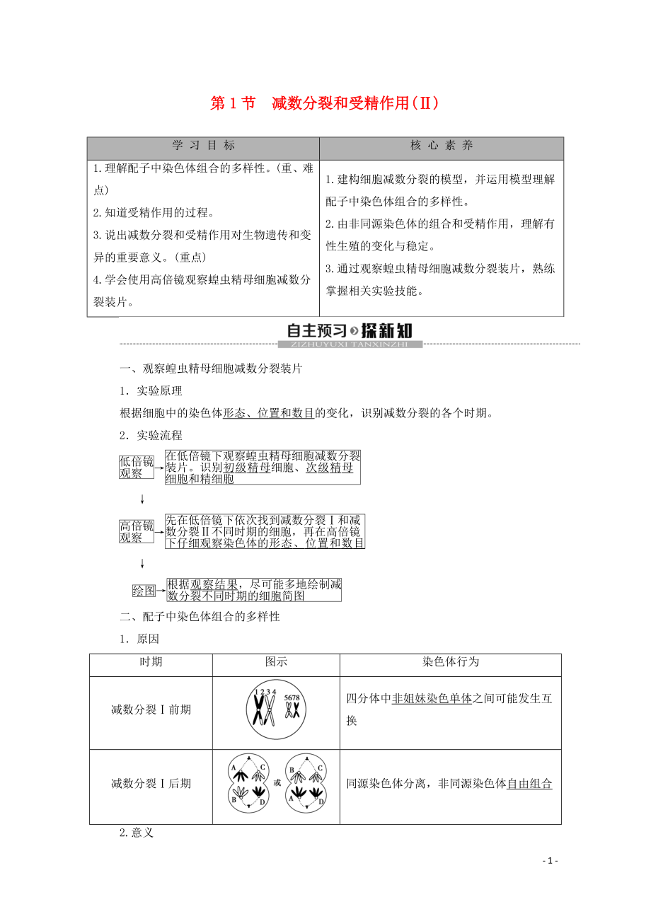 2019-2020學(xué)年新教材高中生物 第2章 基因和染色體的關(guān)系 第1節(jié) 減數(shù)分裂和受精作用（Ⅱ）教學(xué)案 新人教版必修第二冊(cè)_第1頁(yè)