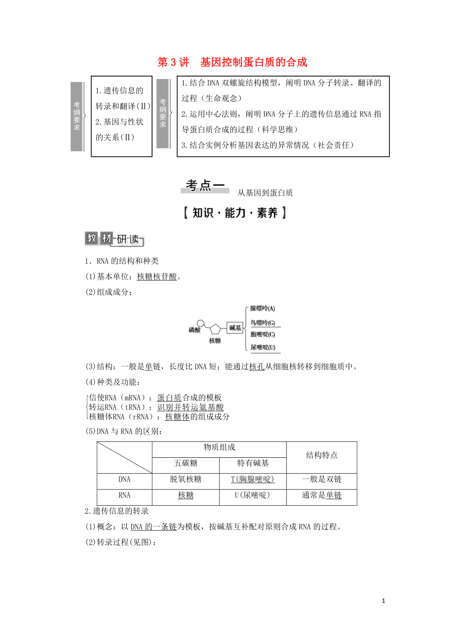 2021版高考生物一輪復(fù)習(xí) 第6單元 遺傳的分子基礎(chǔ) 第3講 基因控制蛋白質(zhì)的合成學(xué)案 蘇教版必修2_第1頁