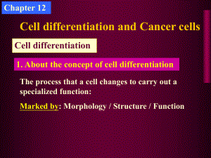 生物细胞细胞分化与基因表达调控课件