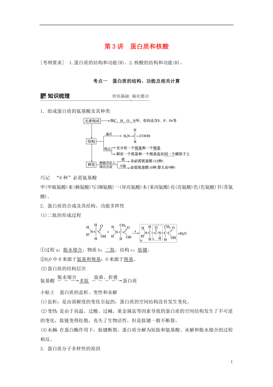 （江蘇通用）2019版高考生物大一輪復(fù)習(xí) 第一單元 細胞的概述及其分子組成 第3講 蛋白質(zhì)和核酸學(xué)案_第1頁