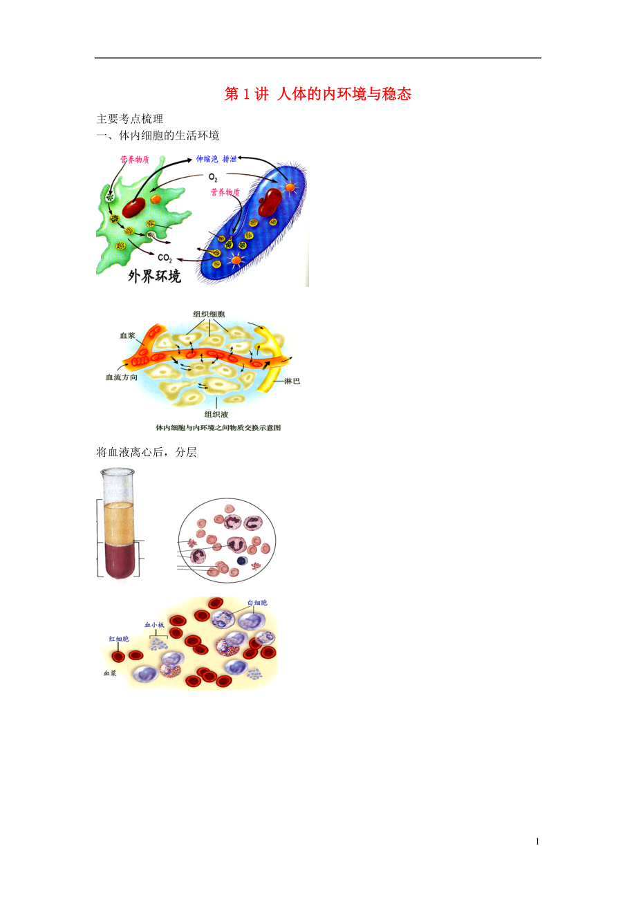 江蘇省大豐市高中生物 第一講 人體的內(nèi)環(huán)境與穩(wěn)態(tài)學(xué)案 蘇教版必修3_第1頁