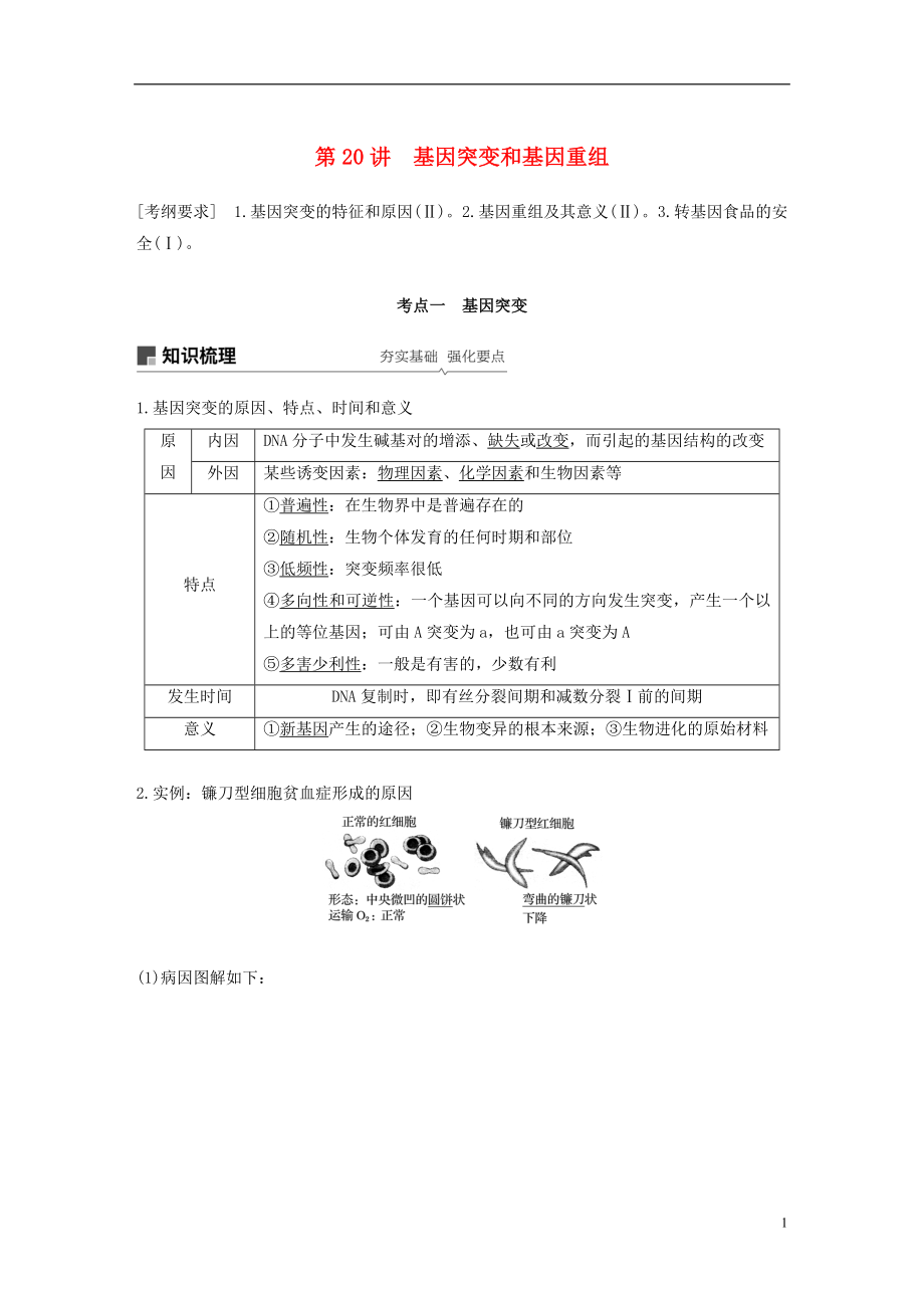 2019版生物高考大一輪復(fù)習(xí) 第七單元 生物的變異與進(jìn)化 第20講 基因突變和基因重組學(xué)案 北師大版_第1頁(yè)